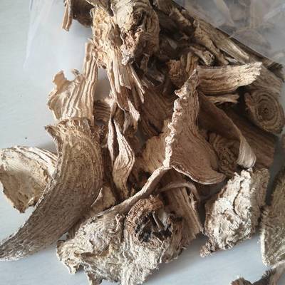 中藥材商陸 價格、正宗辨識與市場分析