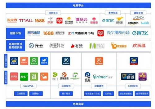 科創(chuàng)板迎來第100家上市公司，電子商務平臺服務企業(yè)開盤大漲177.5%