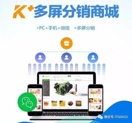 2017年電子商務平臺服務 那些牛氣沖天的任性革新