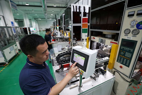 安徽合肥 培育科技型中小企業(yè)，以計算機軟硬件技術開發(fā)推動高質量發(fā)展